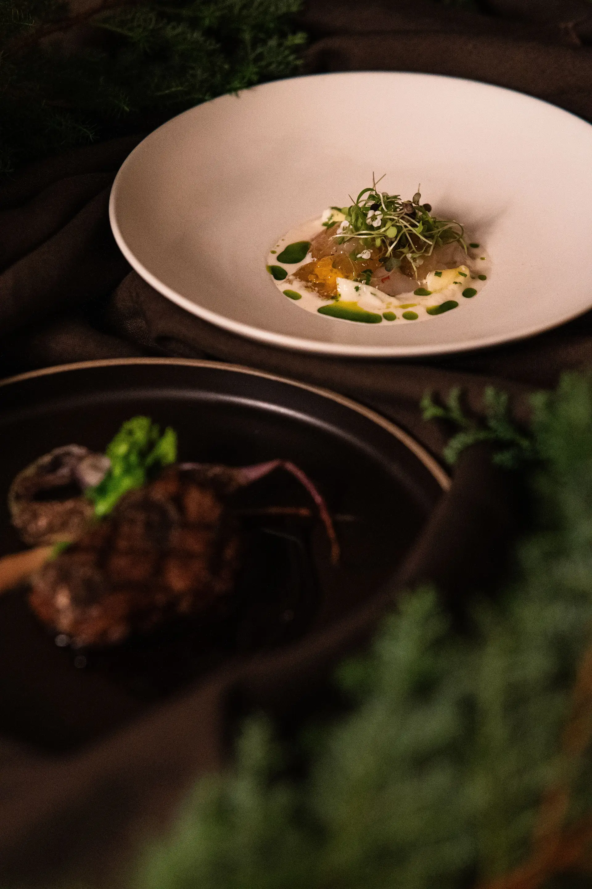Gourmet-illallinen ZelorvianroyalHotelissa